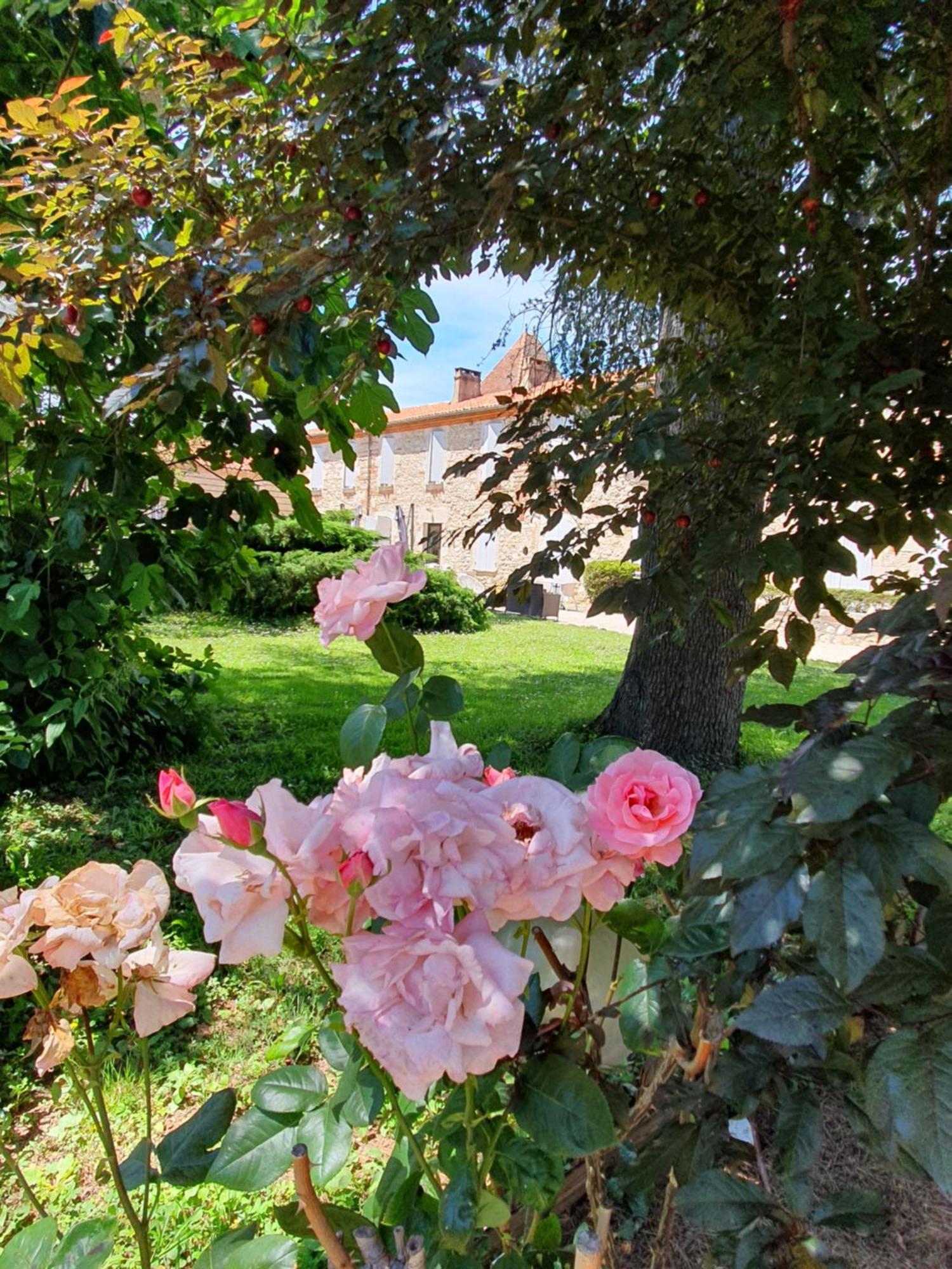 Logis Hotel Le Prince Noir Sérignac-sur-Garonne Exteriör bild